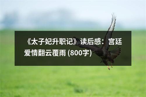 《太子妃升職記》讀后感：宮廷愛情翻云覆雨 (800字)