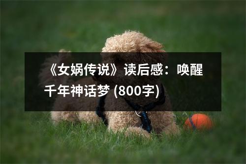 《女媧傳說》讀后感：喚醒千年神話夢 (800字)