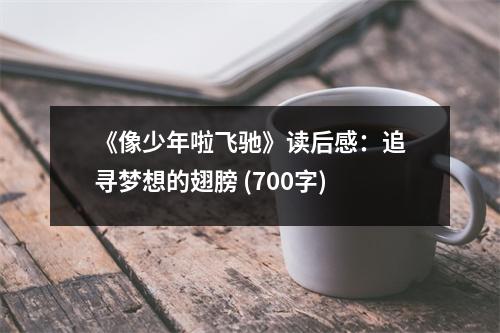 《像少年啦飛馳》讀后感：追尋夢(mèng)想的翅膀 (700字)