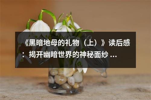 《黑暗地母的禮物（上）》讀后感：揭開幽暗世界的神秘面紗 (900字)