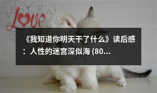 《我知道你明天干了什么》讀后感：人性的迷宮深似海 (800字)