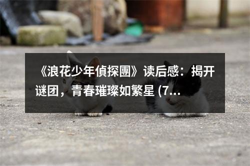 《浪花少年偵探團(tuán)》讀后感：揭開(kāi)謎團(tuán)，青春璀璨如繁星 (750字)