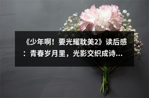 《少年啊！要光耀耽美2》讀后感：青春歲月里，光影交織成詩 (700字)