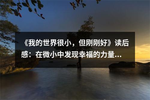 《我的世界很小，但剛剛好》讀后感：在微小中發(fā)現(xiàn)幸福的力量 (750字)
