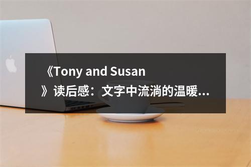 《Tony and Susan》讀后感：文字中流淌的溫暖與哀愁 (1050字)