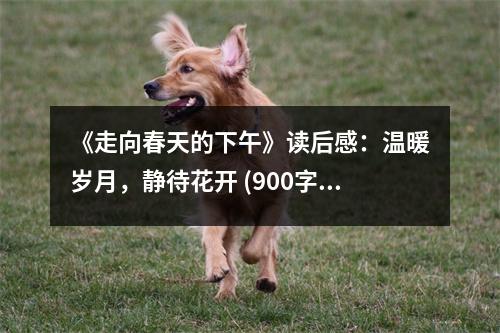 《走向春天的下午》讀后感：溫暖歲月，靜待花開 (900字)