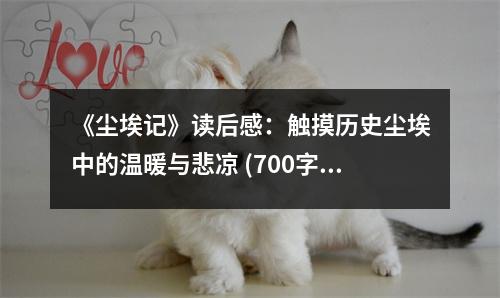 《塵埃記》讀后感：觸摸歷史塵埃中的溫暖與悲涼 (700字)