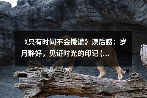 《只有時(shí)間不會(huì)撒謊》讀后感：歲月靜好，見證時(shí)光的印記 (700字)