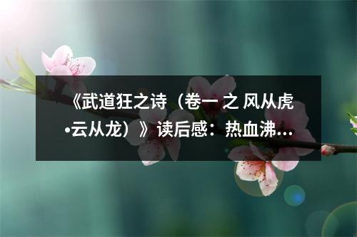 《武道狂之詩(shī)（卷一 之 風(fēng)從虎?云從龍）》讀后感：熱血沸騰，劍指蒼穹 (850字)