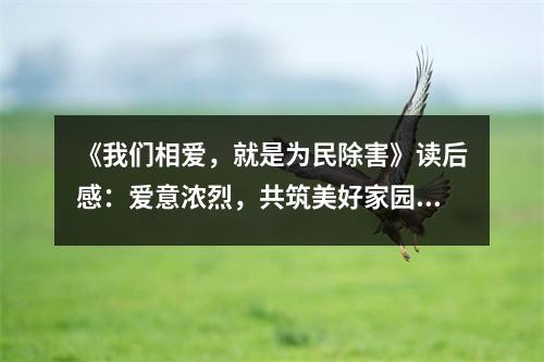 《我們相愛，就是為民除害》讀后感：愛意濃烈，共筑美好家園 (800字)