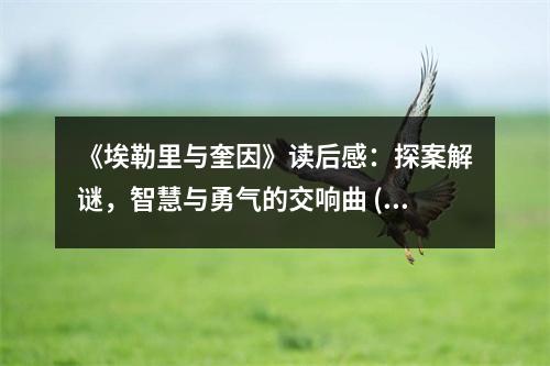 《埃勒里與奎因》讀后感：探案解謎，智慧與勇氣的交響曲 (850字)