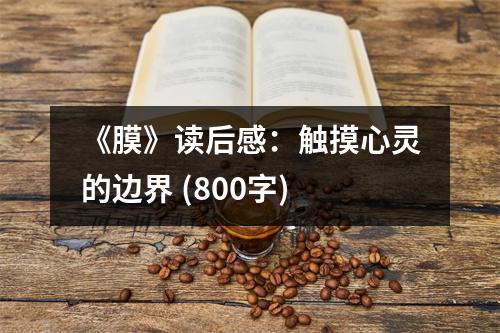 《膜》讀后感：觸摸心靈的邊界 (800字)