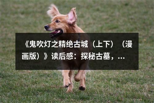 《鬼吹燈之精絕古城（上下）（漫畫(huà)版）》讀后感：探秘古墓，開(kāi)啟奇幻之旅 (800字)