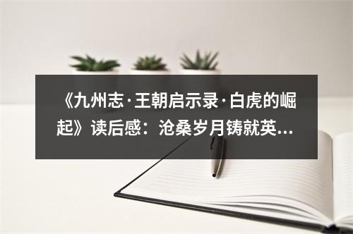 《九州志·王朝啟示錄·白虎的崛起》讀后感：滄桑歲月鑄就英雄夢 (900字)