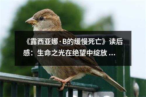 《露西亞娜·B的緩慢死亡》讀后感：生命之光在絕望中綻放 (1050字)