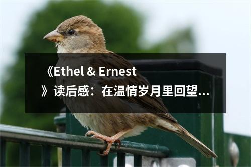 《Ethel & Ernest》讀后感：在溫情歲月里回望人生 (800字)