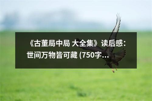 《古董局中局 大全集》讀后感：世間萬(wàn)物皆可藏 (750字)