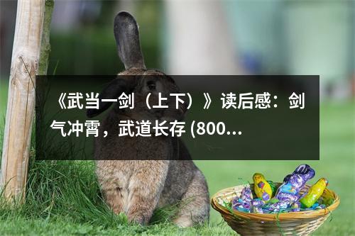 《武當一劍（上下）》讀后感：劍氣沖霄，武道長存 (800字)