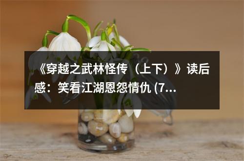 《穿越之武林怪傳（上下）》讀后感：笑看江湖恩怨情仇 (750字)
