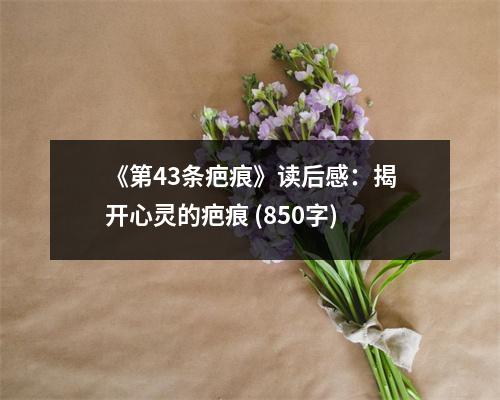 《第43條疤痕》讀后感：揭開(kāi)心靈的疤痕 (850字)