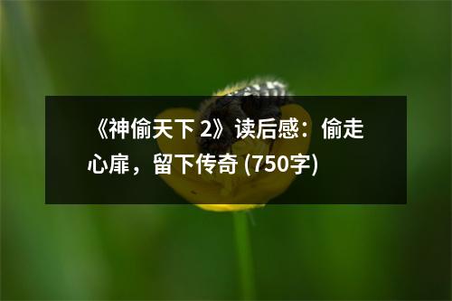 《神偷天下 2》讀后感：偷走心扉，留下傳奇 (750字)