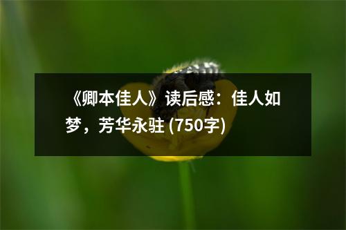 《卿本佳人》讀后感：佳人如夢(mèng)，芳華永駐 (750字)