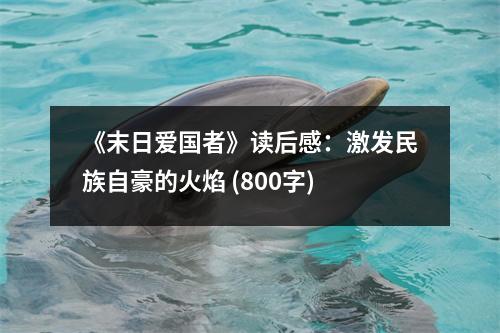 《末日愛國者》讀后感：激發(fā)民族自豪的火焰 (800字)