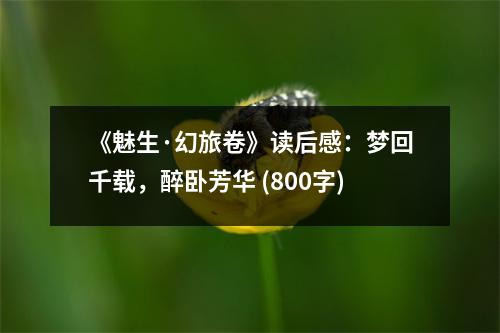 《魅生·幻旅卷》讀后感：夢回千載，醉臥芳華 (800字)