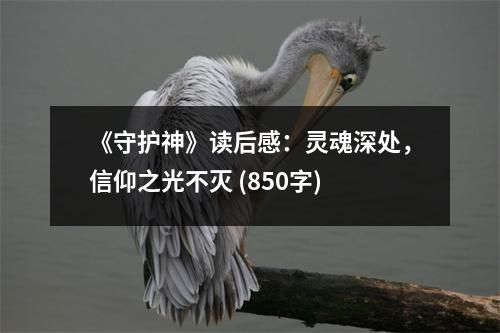 《守護神》讀后感：靈魂深處，信仰之光不滅 (850字)