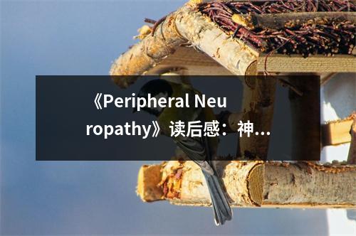 《Peripheral Neuropathy》讀后感：神經(jīng)之痛，探尋生命奧秘 (800字)