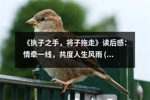 《執(zhí)子之手，將子拖走》讀后感：情牽一線，共度人生風(fēng)雨 (700字)