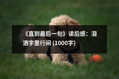 《直到最后一句》讀后感：淚灑字里行間 (1000字)