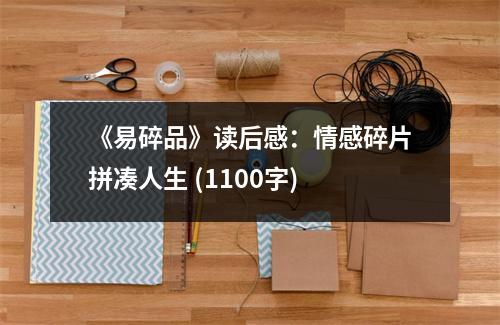 《易碎品》讀后感：情感碎片拼湊人生 (1100字)