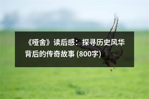 《啞舍》讀后感：探尋歷史風華背后的傳奇故事 (800字)