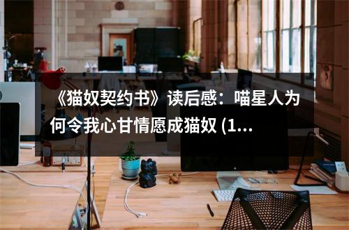 《貓奴契約書》讀后感：喵星人為何令我心甘情愿成貓奴 (1050字)