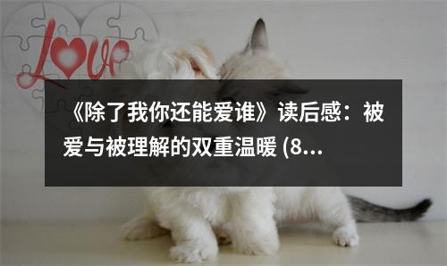 《除了我你還能愛誰》讀后感：被愛與被理解的雙重溫暖 (850字)
