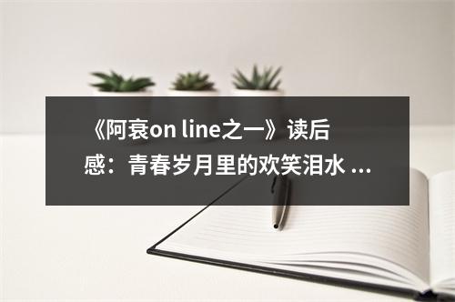 《阿衰on line之一》讀后感：青春歲月里的歡笑淚水 (800字)
