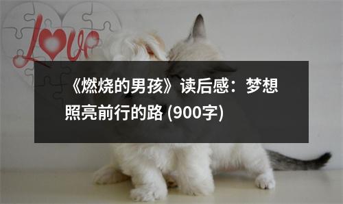 《燃燒的男孩》讀后感：夢(mèng)想照亮前行的路 (900字)