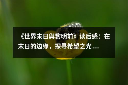《世界末日與黎明前》讀后感：在末日的邊緣，探尋希望之光 (700字)