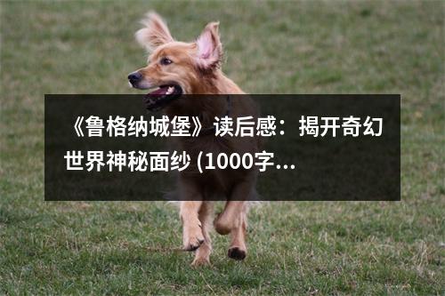 《魯格納城堡》讀后感：揭開奇幻世界神秘面紗 (1000字)