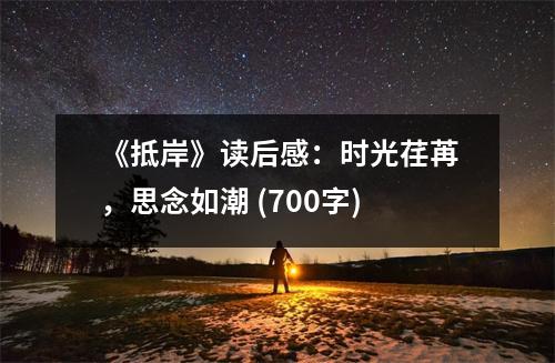 《抵岸》讀后感：時光荏苒，思念如潮 (700字)