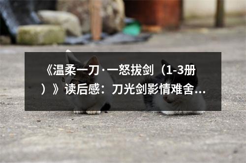 《溫柔一刀·一怒拔劍（1-3冊）》讀后感：刀光劍影情難舍 (850字)