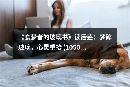 《食夢者的玻璃書》讀后感：夢碎玻璃，心靈重拾 (1050字)