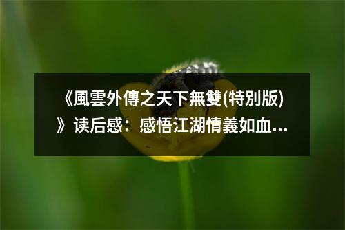 《風(fēng)雲(yún)外傳之天下無(wú)雙(特別版)》讀后感：感悟江湖情義如血如歌 (1100字)