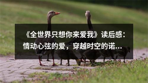 《全世界只想你來愛我》讀后感：情動心弦的愛，穿越時空的諾言 (800字)