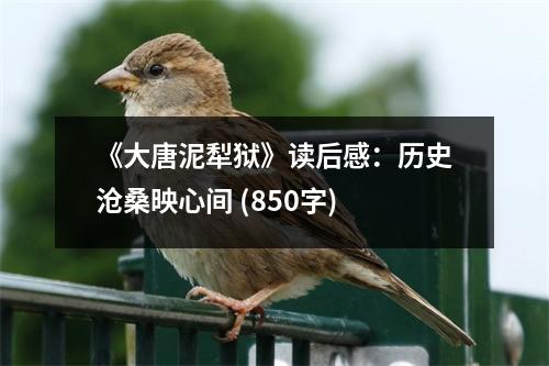 《大唐泥犁獄》讀后感：歷史滄桑映心間 (850字)