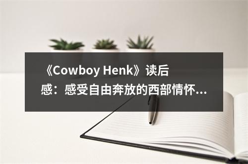 《Cowboy Henk》讀后感：感受自由奔放的西部情懷 (800字)