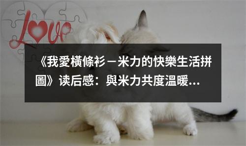 《我愛(ài)橫條衫－米力的快樂(lè)生活拼圖》讀后感：與米力共度溫暖時(shí)光 (750字)