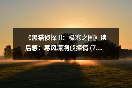 《黑貓偵探 II：極寒之國》讀后感：寒風(fēng)凜冽偵探情 (750字)