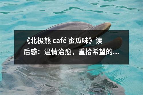 《北極熊 café 蜜瓜味》讀后感：溫情治愈，重拾希望的力量 (750字)